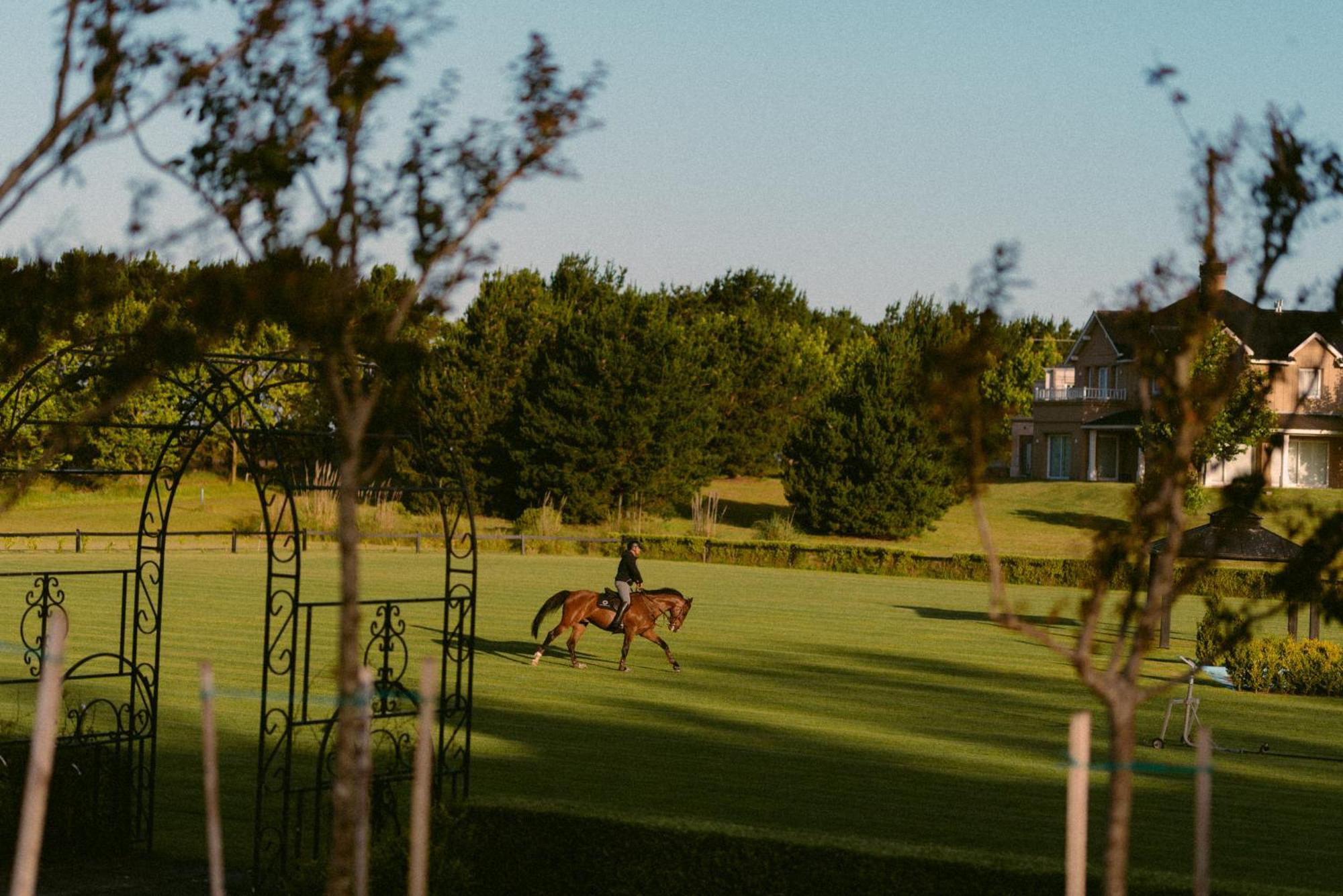 Haras Santa Maria Del Mar Hotell Mar del Plata Exteriör bild